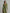 Women's Olive Silky Stretchy Dress With Deep V-Neck & Ruched Detail, Glamorous Maxi Dress MDA0509L8I