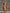Casual Fashion Strapless Orange And Off-White Contrast Cotton-Linen Jumpsuit