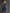 Lapel Collar Zip-up Double-pocket Off-the-shoulder Denim Mini Dress