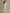 Women's Ivory Textured Set With Ribbed Crew Neck & High-Waisted Bottoms, Modern Sophisticated Style Set MDA2231L6I