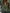 Bohe Floral Embroidered Cotton Olive Green Shirt