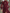 Burgundy High-Neck Sheer Chiffon Puff Sleeve Ruched Waist High Slit Long Dress