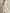 Elegant Satin A-Line Midi Dress With Cinched Waist