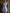 【24-hour shipping out】Women's Blue Off-shoulder Hip-wrapped Dress With Gold Buttons