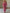 Casual Loose Rose Red Chiffon Leopard Print Long-Sleeved Jumpsuit