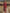 Western Style Vintage Embroidered Red Fringed Faux Suede Midi Dress