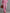 Casual Sporty Retro Pink Velvet Leopard Print Sweatshirt And Wide-Leg Pants Set