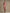 Western Retro Leopard Print Pink Faux Suede Zipper Tassel Midi Dress