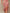 Elegant Blush Floral Ruched Bodycon Midi Dress With Ruffled Hem