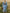 Retro Western Lapel Zipper Long Sleeve Tassel Midi Dress
