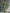 Women's Light Green Cold-Shoulder Maxi Dress With Oversized Puff Sleeves & Side Pockets MDZ1004B7T