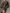 Women's Dark Brown Knitted All-match Mini Dress MDA2971H4T