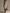 Minimalist Beige Knit Bodycon Midi Dress