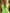 Fashion V-Neck Zipper Ruffle Hem Fluorescent Green Sporty Mini Dress