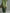 Trendy Retro Sporty Green Velvet Top And Leopard Print Wide-leg Pants Set