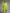Casual Loose-fitting Green Knitted Mini Dress