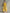 Women's Bright Yellow Linen Strapless Relaxed-Fit Top & Wide-Leg Cropped Pants Set MDZ1055F6ZRK