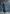 Casual Loose-fit Hooded Blue Denim Button-front Long-sleeved Jumpsuit
