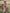 Retro Western Lapel Zipper Long Sleeve Tassel Midi Dress