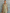 Women's Minimalist Linen Blend Short-sleeved Shirt Maxi Dress MDZ0647A2Y