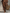 Women's Minimalist Linen Blend Strapless Long-sleeved Jumpsuit MDZ0967A9Y