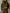 【24-hour shipping out】Fashion Retro Hooded Camouflage Sweatshirt and Leggings Two-piece Suit