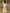 Retro White Lace V-neck Long Sleeve Tassel Short Front And Long Back Skirt Maxi Dress