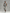 Women’s Grey Sleeveless Tank Top & Cargo Jogger Shorts Two-Piece Set MDZ0853E1T